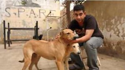 A worker plays with rescued dogs in a courtyard at the SPARE animal shelter on the outskirts of Cairo.