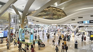 Zayed International Airport in Abu Dhabi. Its operator is planning high-tech solutions to cut queues. Shutterstock