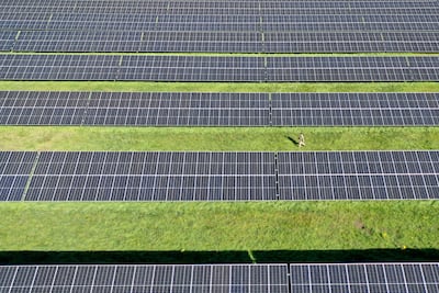 Solar panels in England. Christopher Furlong / Getty Images