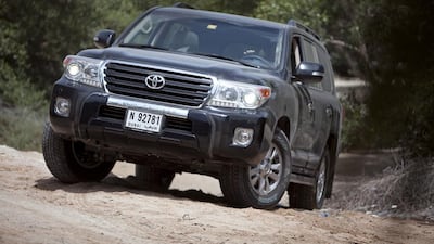 Silvia Razgova / The National