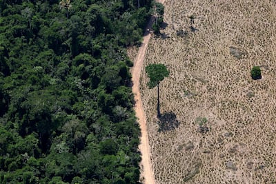 A deforested area in Maraba, in Brazil's Para state. Reuters