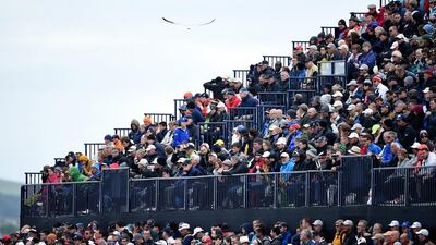 Seagulls are the sourge of the skies at Scottish sports. Getty Images
