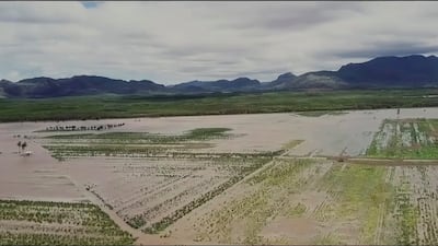 A view shows partially flooded land in the aftermath of Cyclone Yasa in Wailevu, Vanua Levu, Fiji in this still image from drone video obtained via social media. Reuter