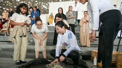The Louvre Abu Dhabi set-up will also give a chance for museum-goers to learn more about turtle rehabilitation