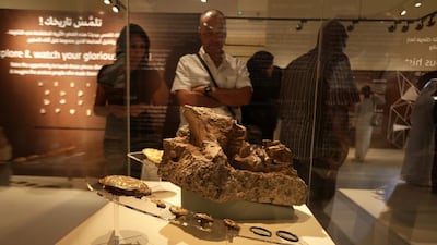 A golden horse bridle and trappings buried with a horse and a camel found by local team in Mleiha, dated between 150 BC - 200 AD, will be on display during the exhibition 'From the Site to Museum' at Sharjah Archaeology Museum in Sharjah. Pawan Singh / The National
