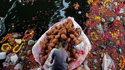 A man collects coconuts on September 16, 2016, that were thrown into the Sabarmati river as offerings by worshippers, a day after the immersion of idols of the Hindu god Ganesh, the deity of prosperity, in Ahmedabad, India. Amit Dave / Reuters