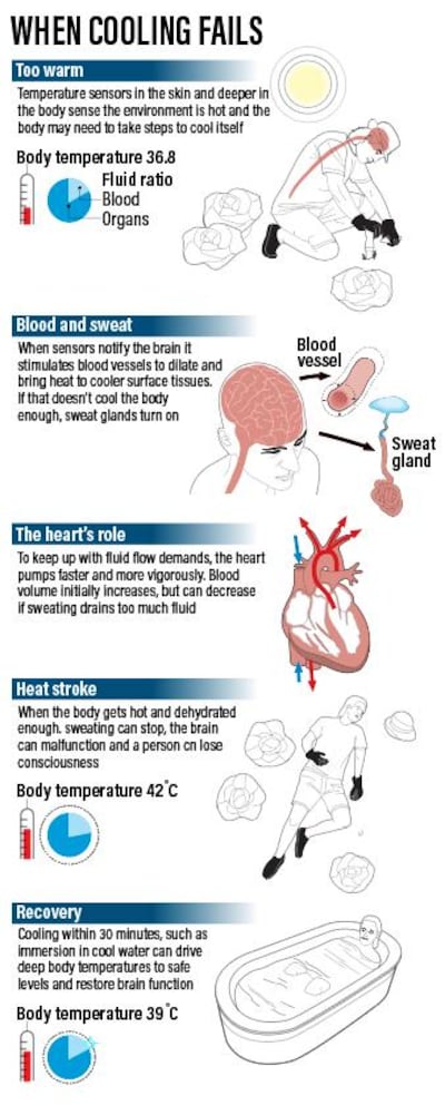 Infographic displaying the different causes for overheating. The National