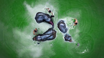 Sujon Adikary, Bangladesh, Shortlist, Open competition, Travel.