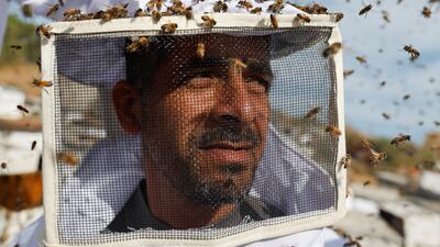 Bees gather on a Palestinian beekeeper in the Gaza Strip. Reuters