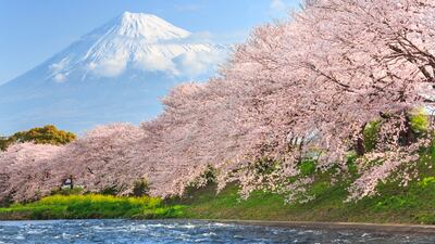 Japan. Photo: iStockphoto.com