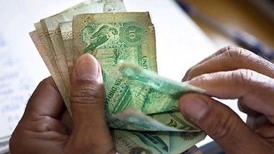 About 37 per cent of Emiratis surveyed by the government owed money.