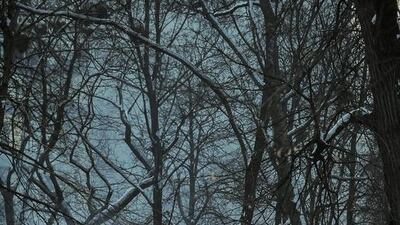 Ukraine has been convulsed by protests led by pro-European activists incensed that President Viktor Yanukovych opted against an association agreement with the European Union in November, choosing closer relations with Russia instead. Roman Piliphy / EPA