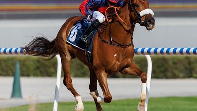 Tadhg O’Shea steers Royal Mews to bring up his 50th winner of the season at Meydan on Sunday, February 20, 2022. Photo: DHRIC