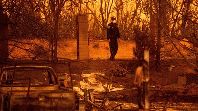 California Highway Patrol officer Gavin Graham surveys homes leveled by the Carr Fire in the Lake Keswick Estates area of Redding, California. AP Photo / Noah Berger