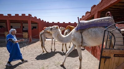 Morocco's dramatic sands and valleys traversed by camel herds have long provided stand-ins for big-budget films needing Middle East locations. AFP
