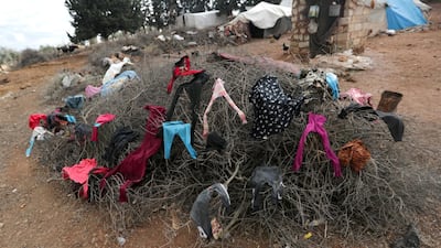 Clothes hang to dry on a cluster of branches in Azaz, Syria. REUTERS