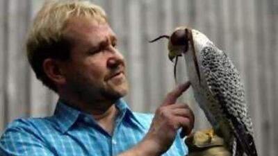 Hans Jürgen Küspert gets an average of Dh24,000 for young falcons. He is suing the mushroom business next to his breeding farm in Helvesiek, Germany, after seeing hundreds of his birds die.