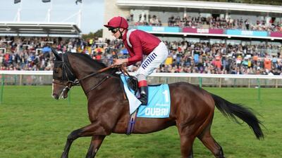 Belardo shown during the Dubai Dewhurst Stakes at Newmarket in October. Tony Marshall / Getty Images / October 17, 2014