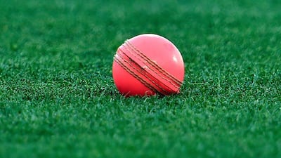 A pink cricket ball used at the Adelaide Oval in Southern Australia for the first day-night Test between Australia and New Zealand on November 26, 2015. Saeed Khan / AFP