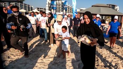 Nearly all species of sea turtle are classified as endangered. Victor Besa / The National