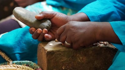 Amazigh women crushes argan nuts to extract the kernels at the Women's Agricultural Cooperative Taitmatine in Tiout, Morocco. Reuters