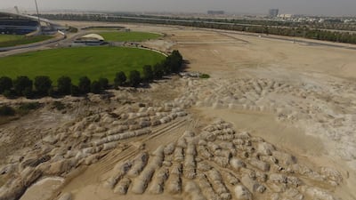 A before shot of the grass fields surrounding the main arena at Zayed Cricket Stadium. All photos courtesy Abu Dhabi Cricket