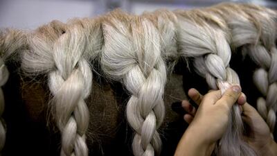 Cavalia groom Charlene Zubrickas re-braids the maine of French horse, Renato. Silvia Razgova / The National