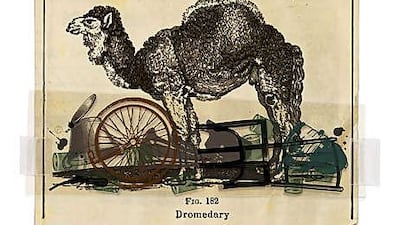 Pep Montserrat for The National