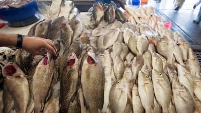 Hammour on sale in shops and restaurants is often subsituted for a cheaper fish.