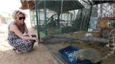Laura Glanfield checks in on Moon, the South American Coati and resident of her petting zoo who has already been moved to the new location in Dubai. Pawan Singh / The National
