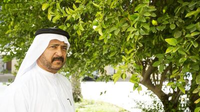 Naser Al Zaabi, who has two farms, says the UAE has one of the world’s best climates for bell peppers. Christopher Pike / The National