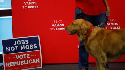 U.S. Senator Martha McSally attends a campaign event with her dog Boomer . Reuters