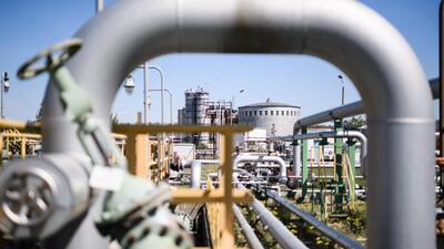 US crude inventories beat analyst and industry estimates to climb to the highest since 2017 last week. EPA