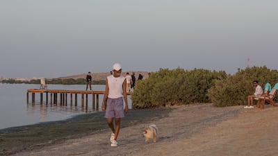 Not A Space In The Wild is also pet-friendly