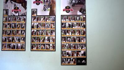 Posters of horses auctioned off in previous years hang at the National Equestrian Club in Lenin Park on the outskirts of Havana, Cuba. Cuba complains bitterly about training world-class athletes who leave to make millions for themselves in other countries. If successful, Cuba’s new equine initiative to breed thoroughbred jumping horses would produce four-hooved performers whose success only means more revenue for the programme that produces them. Ramon Espinosa / AP Photo