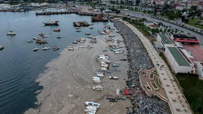 Untreated waste dumped into the Marmara Sea and climate change caused the sea snot bloom, Turkish authorities said. AFP