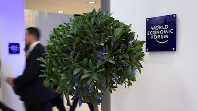 A tree installed as decoration is seen inside the Congress center, during the World Economic Forum (WEF) annual meeting in Davos, on January 21, 2020. AFP