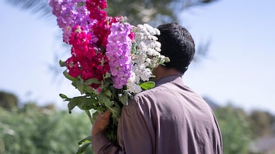 Munir, one of the workers on the farm, carries freshly cut flowers to prepare them for delivery to shops. Reem Mohammed / The National