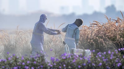 Gardeners on Hudayriat Island work on a hot and highly humid day. Victor Besa / The National