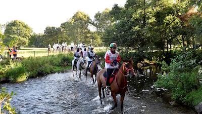 Some 500 riders representing more than 35 countries took part in the race with Emiratis Salem Al Ketbi and Ahmed Al Harbi winning the 160km title, and 120km race, respectively. Wam