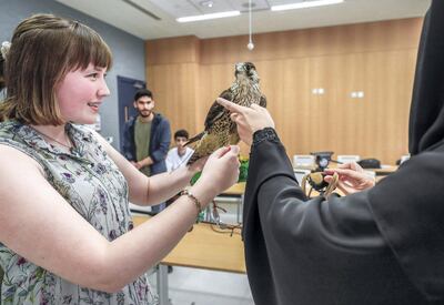 Falconry class at NYUAD. Victor Besa/The National