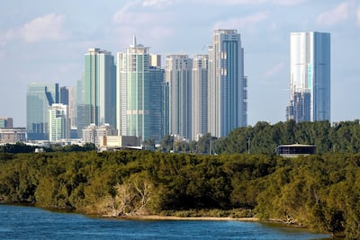 The mangroves have been incorporated into Reem Island's shoreline. Victor Besa / The National
