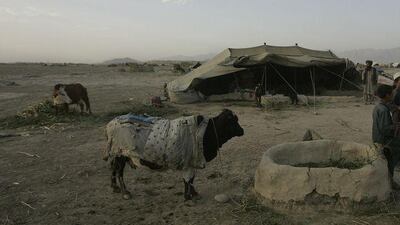 Although they are nomads, many of Afghanistan's Kuchis hold deeds to land on which they live for a short time each year.