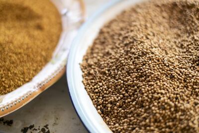 Spices in Ms Al Yamahi's kitchen. Reem Mohammed / The National