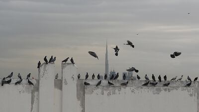 A cloudy day in Dubai. Pawan Singh / The National