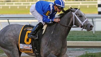 Mohaymen, ridden by Junior Alvarado, wins the Fountain of Youth Stakes at Gulfstream Park on February 27, 2016 in Hallandale, Florida. Liz Lamont / Getty