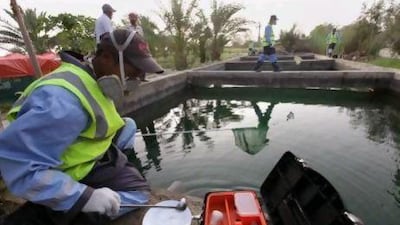Workers from Eagle, environmental services & pest control, look for malaria mosquitos in the irrigation water of a farm in Al Bahia town. (Jaime Puebla / The National