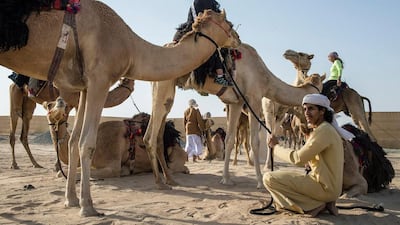 The 13 camel-riding enthusiasts will cover up to 50 kilometres a day during the Camel Trek, which starts in the Nakhra area of Dubai and will end at Global Village on Saturday. Wam