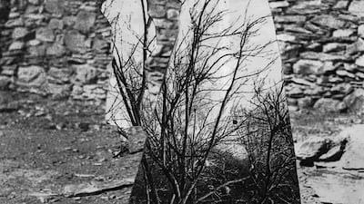 Oumaima Abaraghe's The salted locust still leaps, 2022