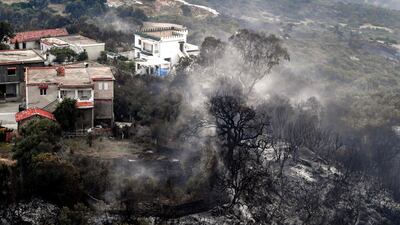 Burnt trees stand in the wake of a forest fire near the town of Melloula. AFP